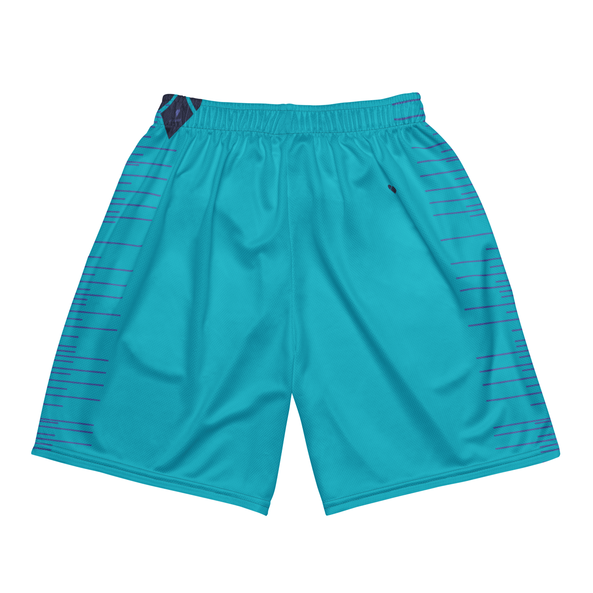 Genderless mesh shorts with vibrant turquoise and periwinkle stripes