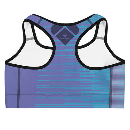 Fashion and Function in One - Periwinkle Stripes Dual Sports Bra